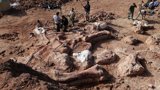 biggestdinosau... 10